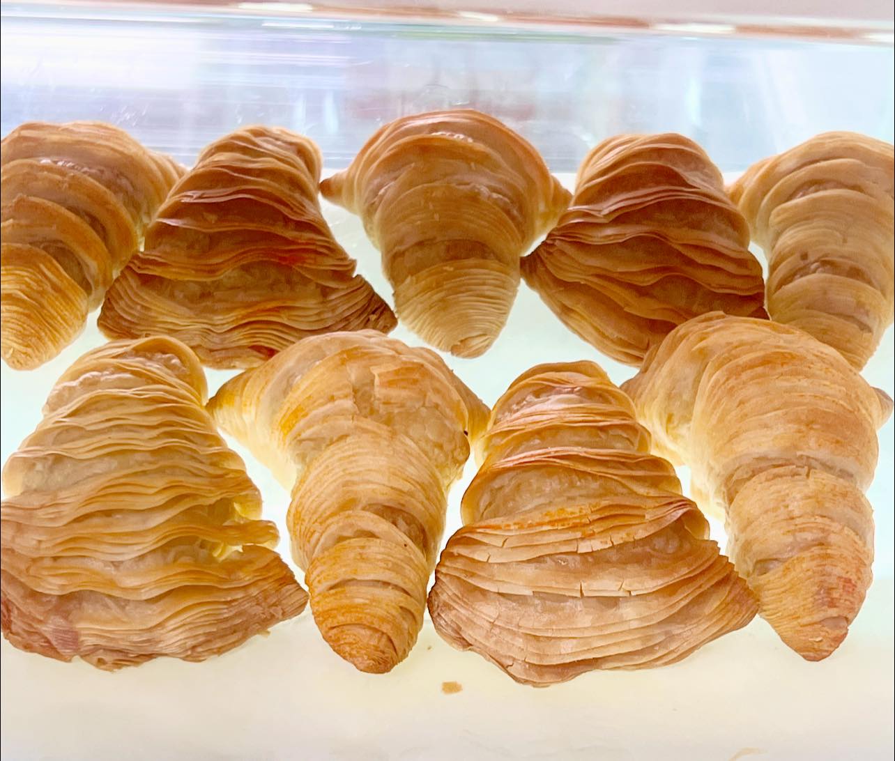 Fresh sfogliatella pastries